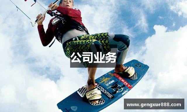 公司业务